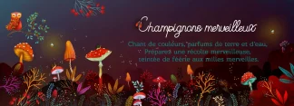 Champignons