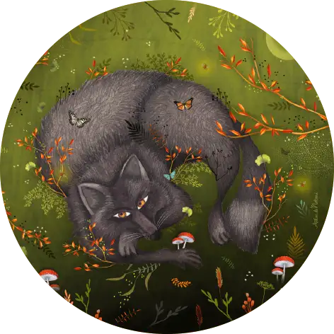 Chaperon rouge